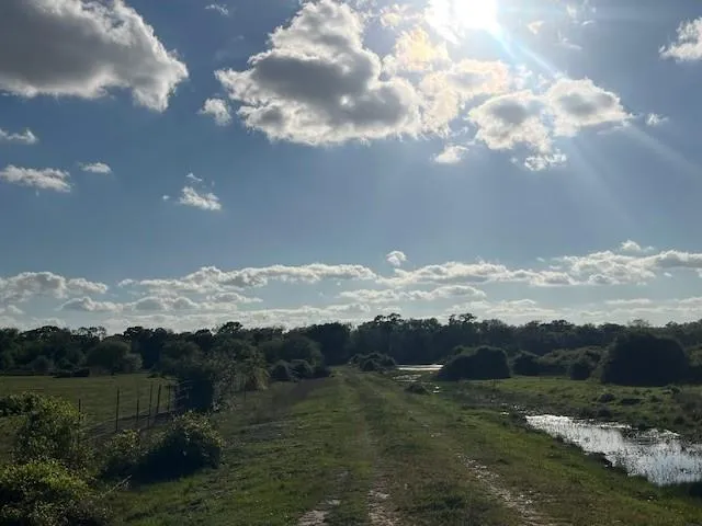 1600 County Road 121 Garwood, TX 77460