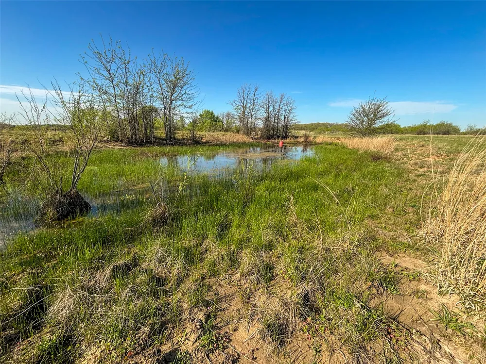 384 Cr-1475 Alvord, TX 76225