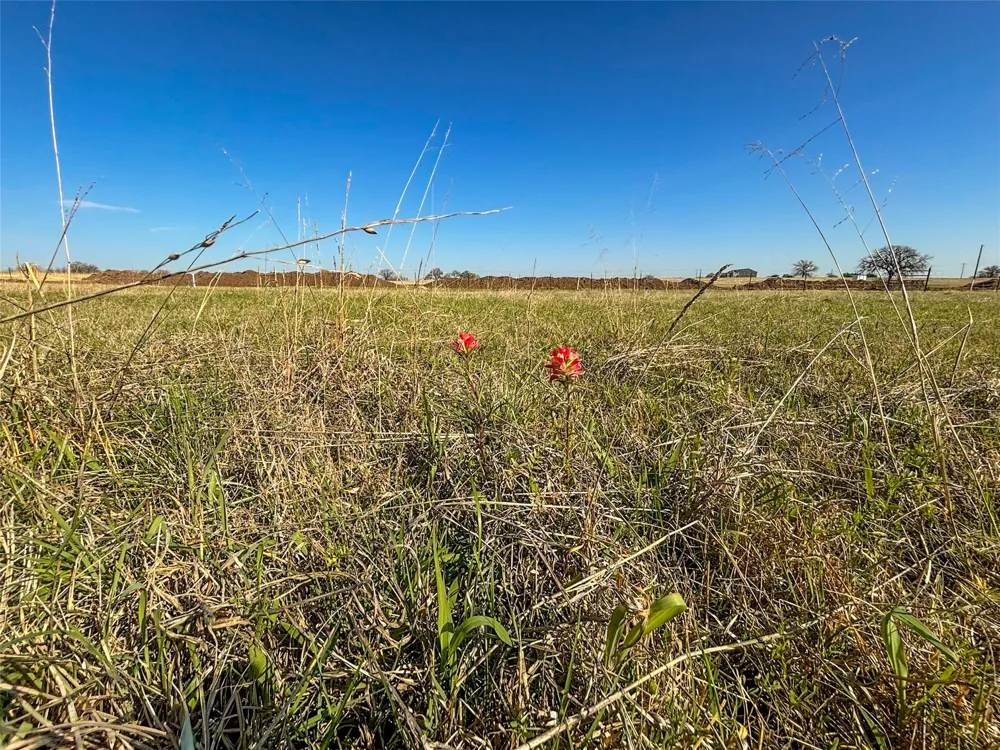 384 Cr-1475 Alvord, TX 76225