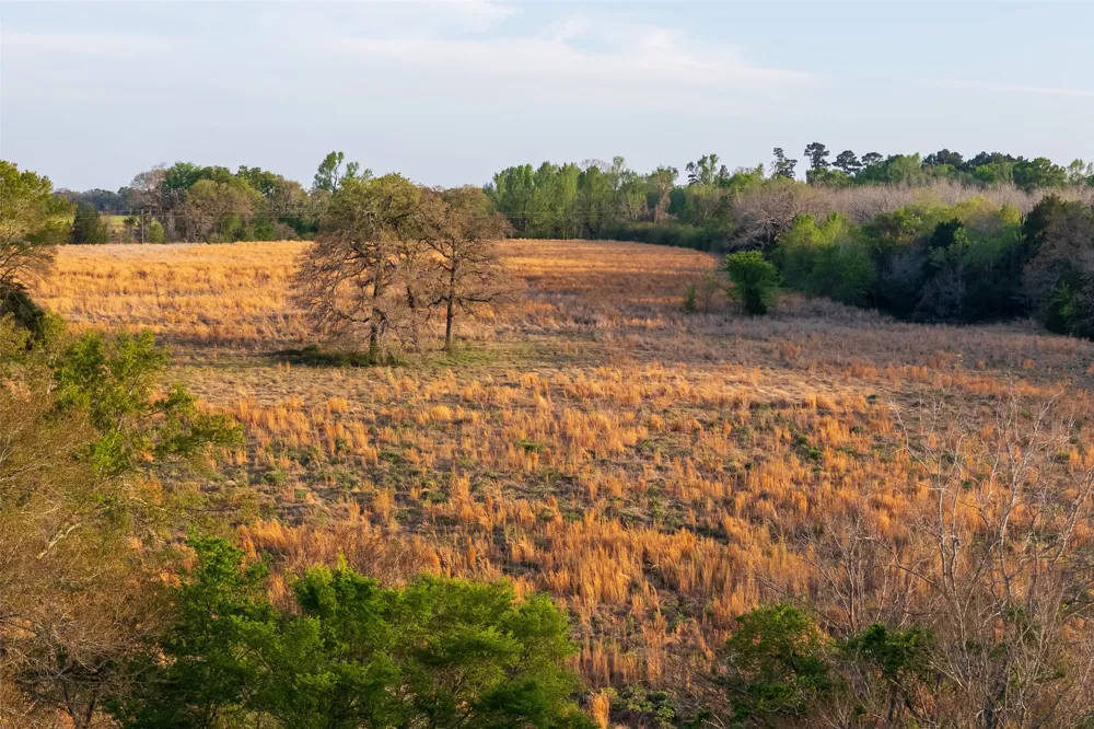 County Road 117 Elkhart, TX 75839