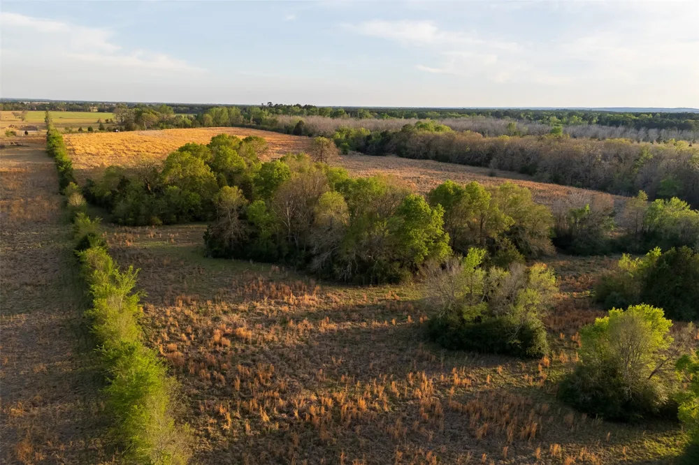County Road 117 Elkhart, TX 75839