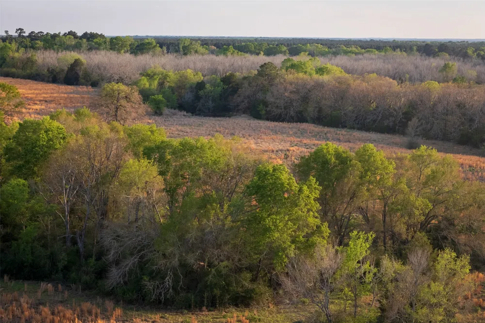 County Road 117 Elkhart, TX 75839