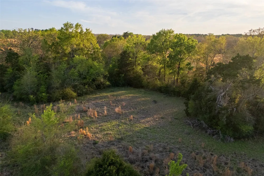 County Road 117 Elkhart, TX 75839