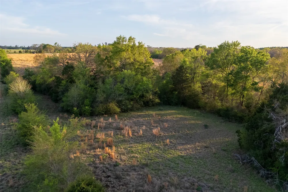 County Road 117 Elkhart, TX 75839