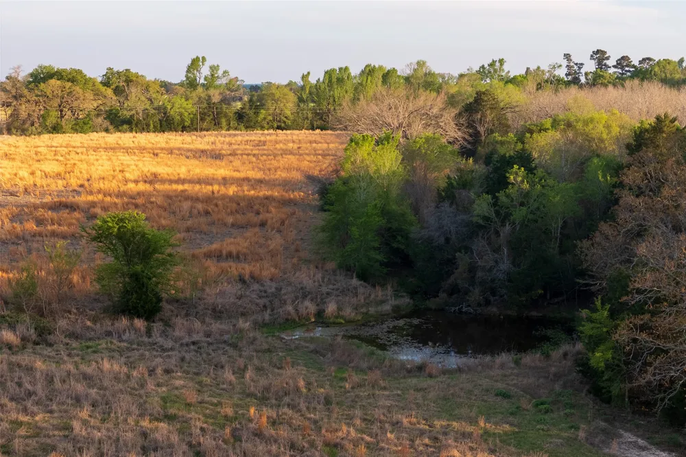 County Road 117 Elkhart, TX 75839