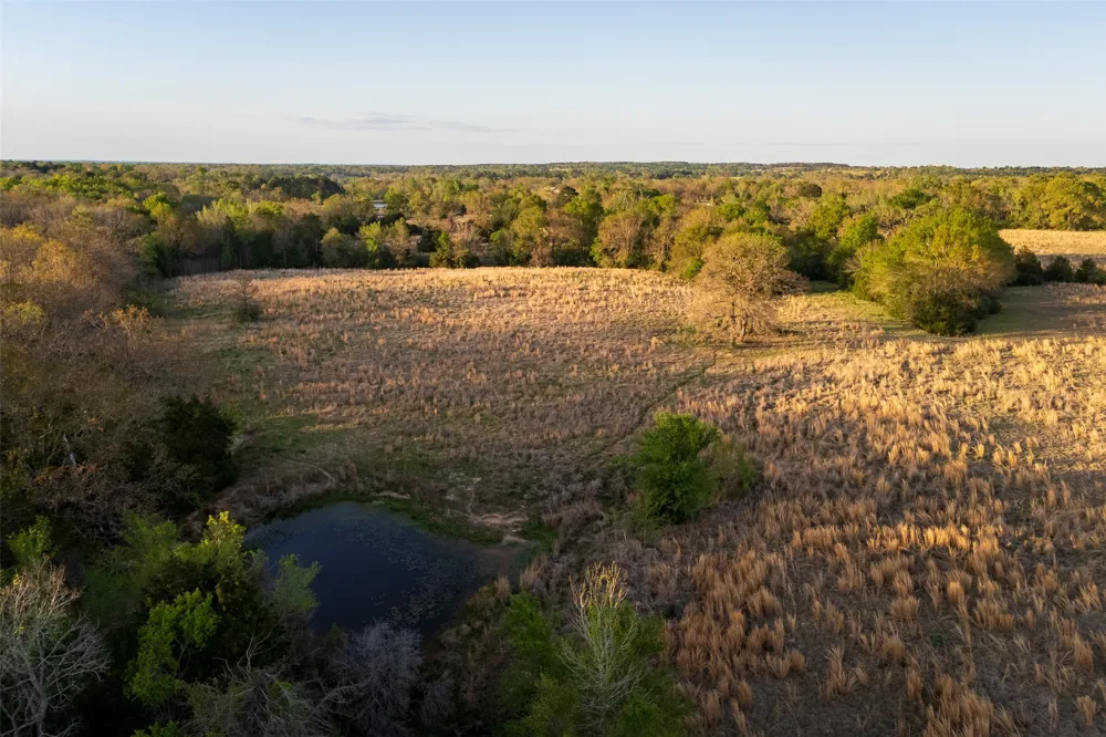 County Road 117 Elkhart, TX 75839