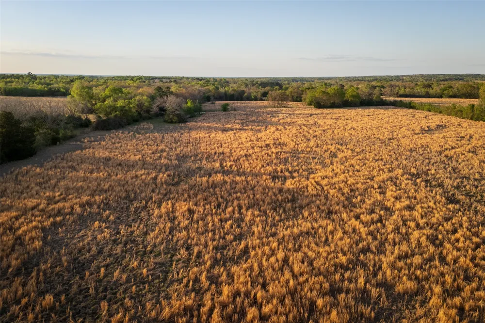 County Road 117 Elkhart, TX 75839