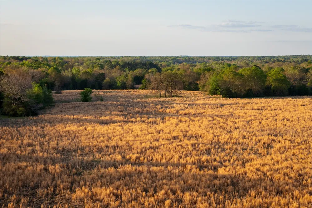 County Road 117 Elkhart, TX 75839