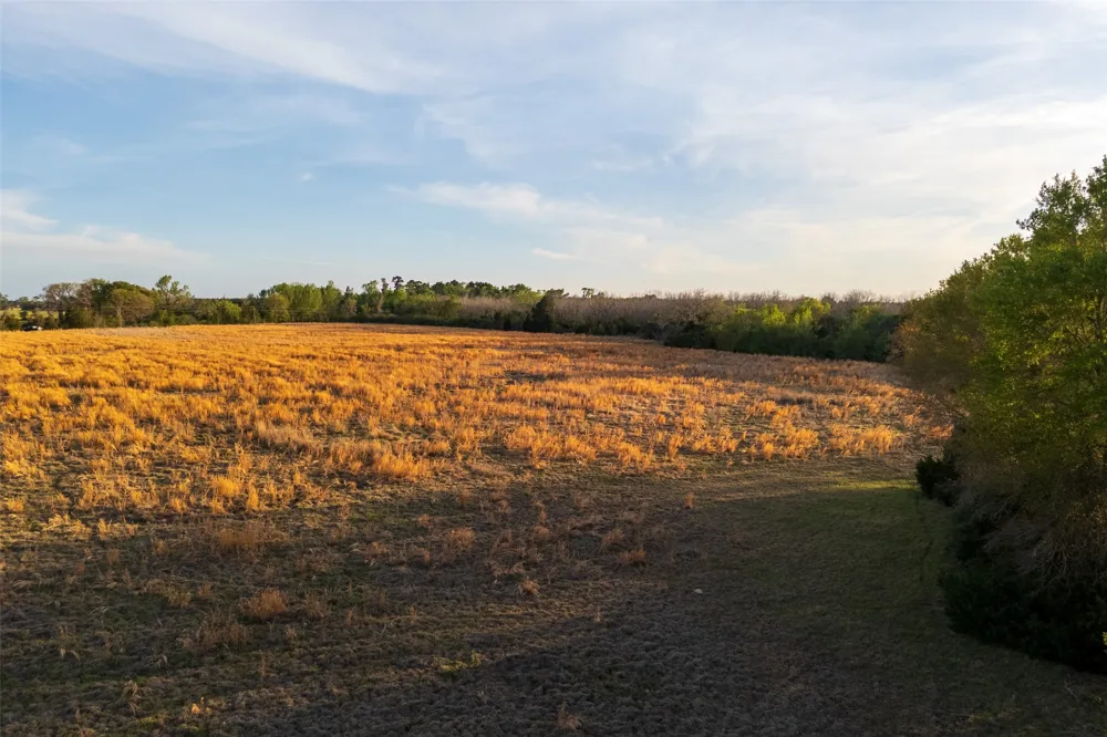 County Road 117 Elkhart, TX 75839