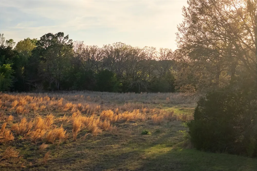 County Road 117 Elkhart, TX 75839