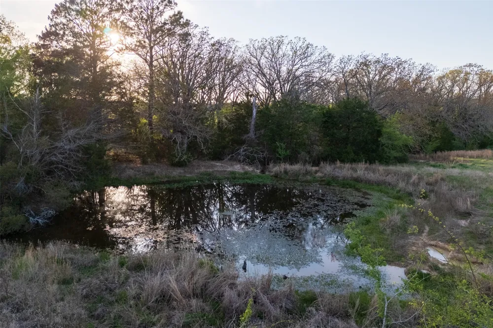 County Road 117 Elkhart, TX 75839