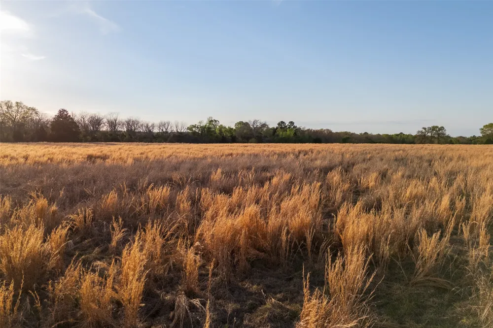 County Road 117 Elkhart, TX 75839