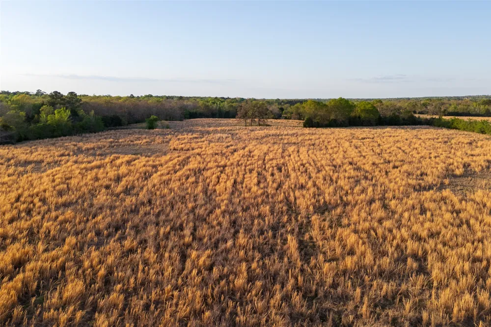 County Road 117 Elkhart, TX 75839