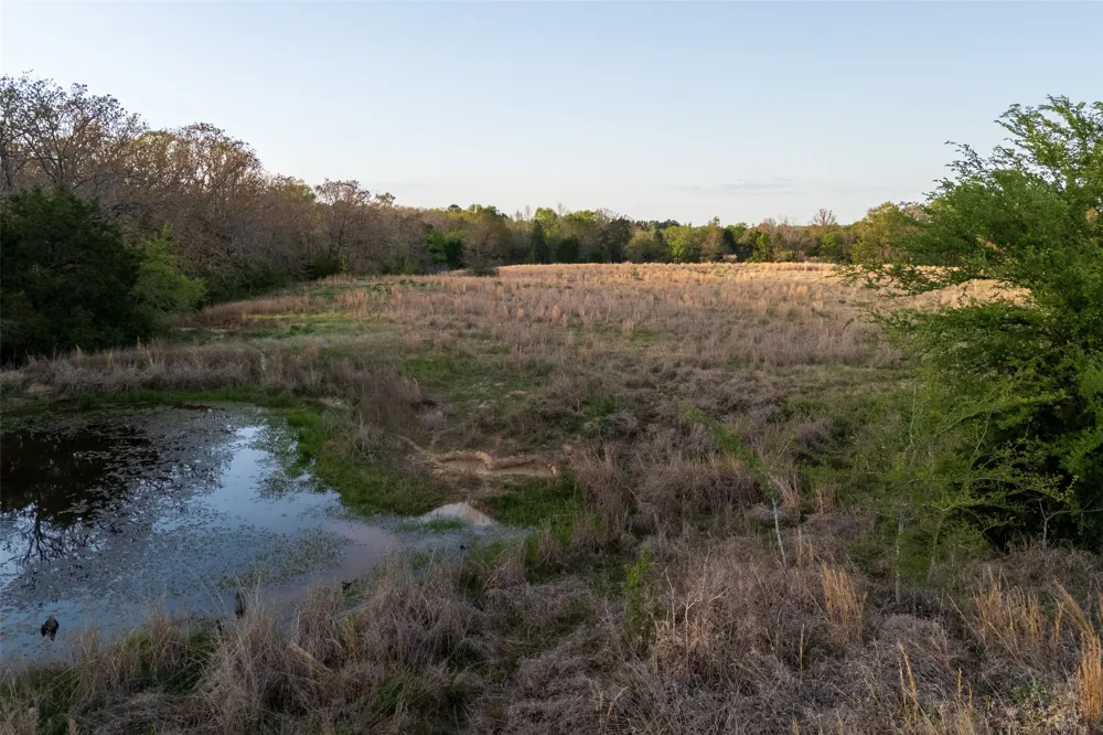 County Road 117 Elkhart, TX 75839