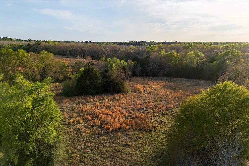 County Road 117 Elkhart, TX 75839