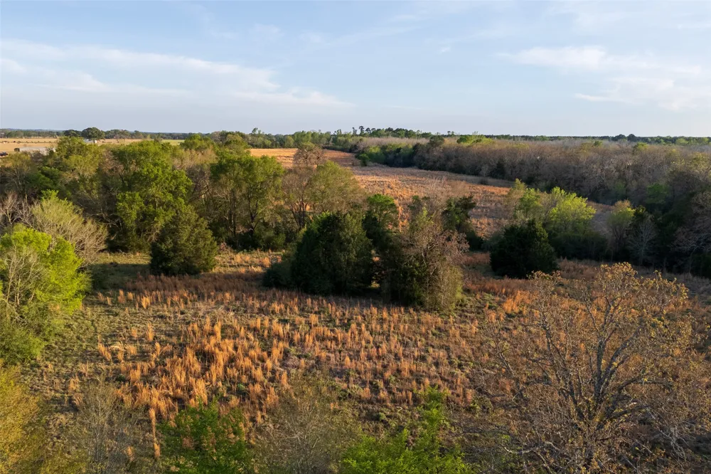 County Road 117 Elkhart, TX 75839