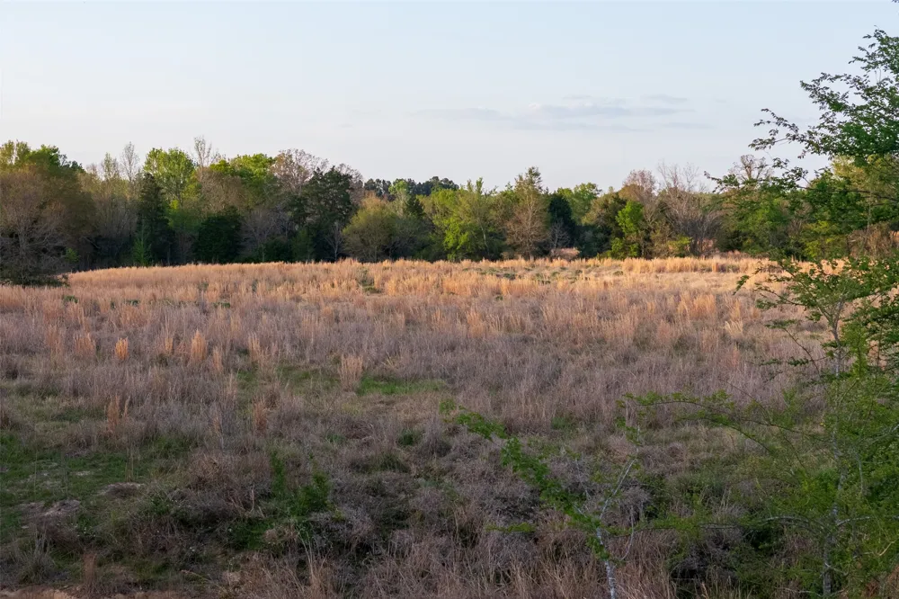 County Road 117 Elkhart, TX 75839