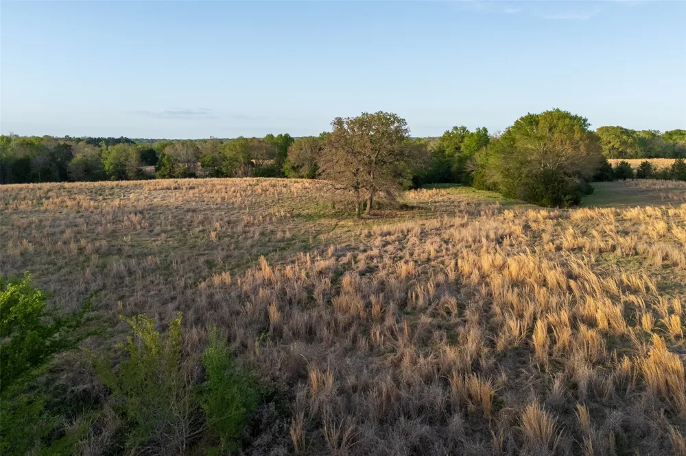 County Road 117 Elkhart, TX 75839