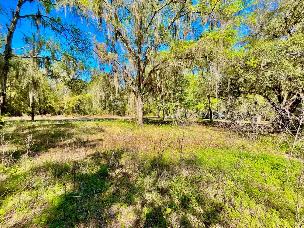 Lot 2 SE 16TH STREET Melrose, FL 32666