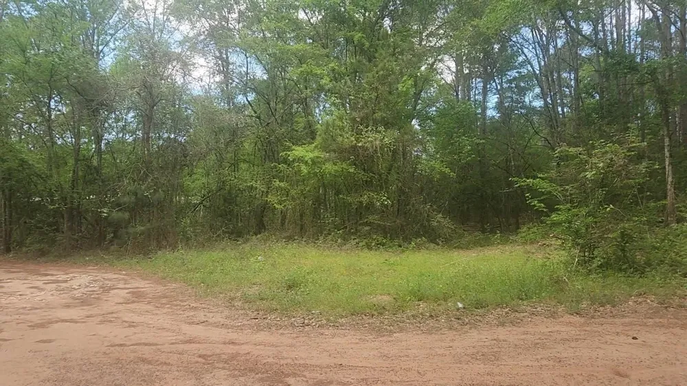 6 Thornwood Drive Plantersville, TX 77363