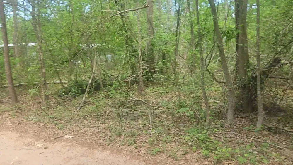 6 Thornwood Drive Plantersville, TX 77363