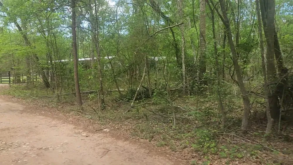 6 Thornwood Drive Plantersville, TX 77363