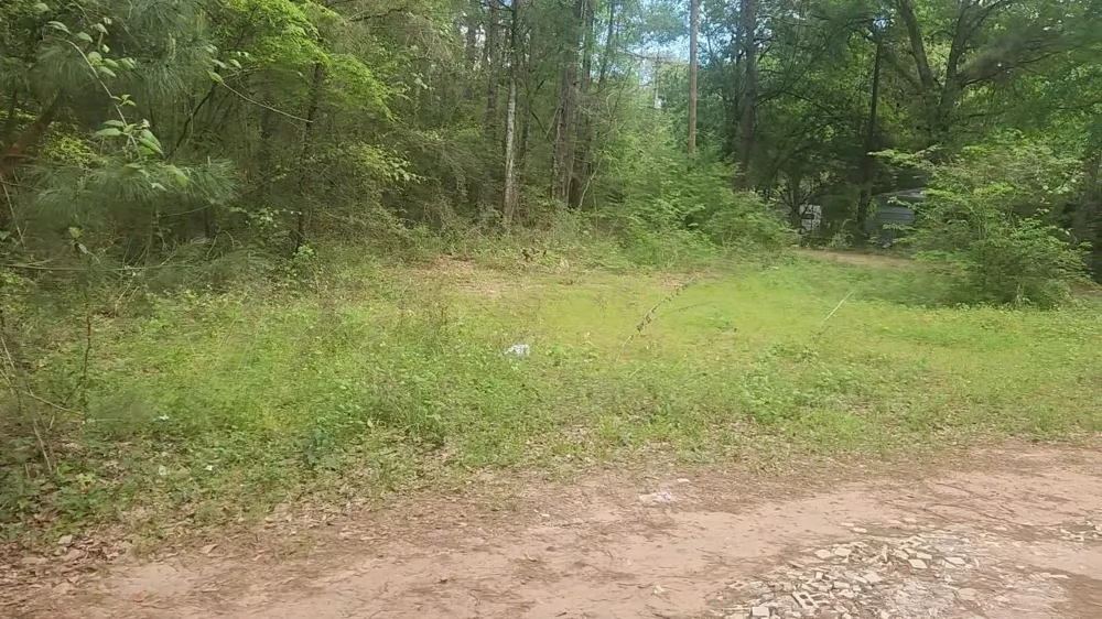 6 Thornwood Drive Plantersville, TX 77363