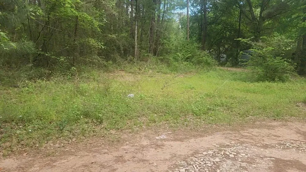 6 Thornwood Drive Plantersville, TX 77363