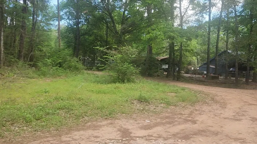 6 Thornwood Drive Plantersville, TX 77363