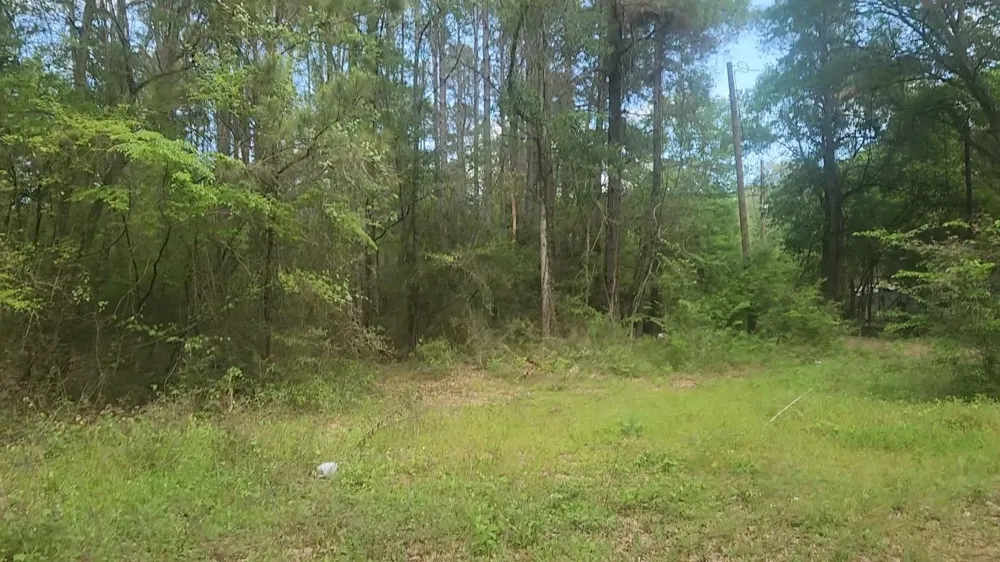 6 Thornwood Drive Plantersville, TX 77363