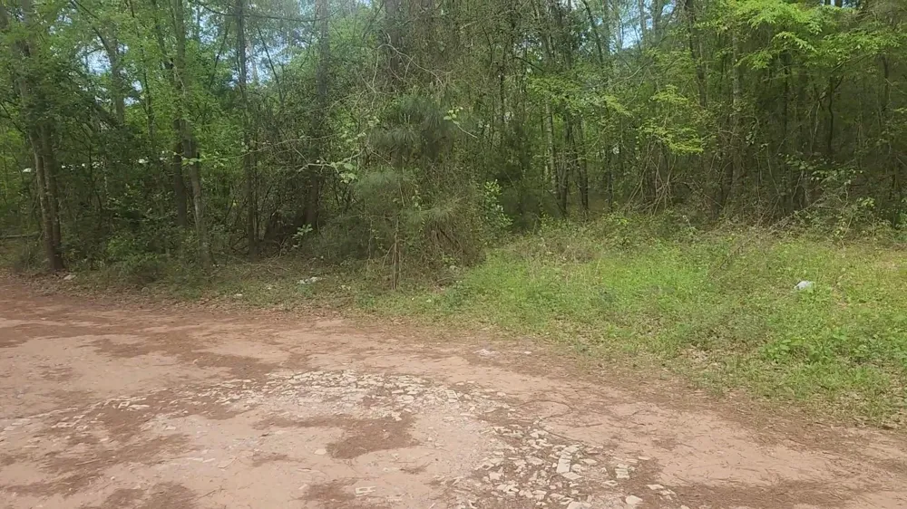 6 Thornwood Drive Plantersville, TX 77363