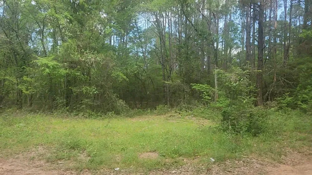 6 Thornwood Drive Plantersville, TX 77363