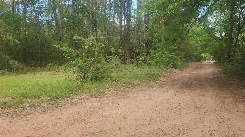 6 Thornwood Drive Plantersville, TX 77363