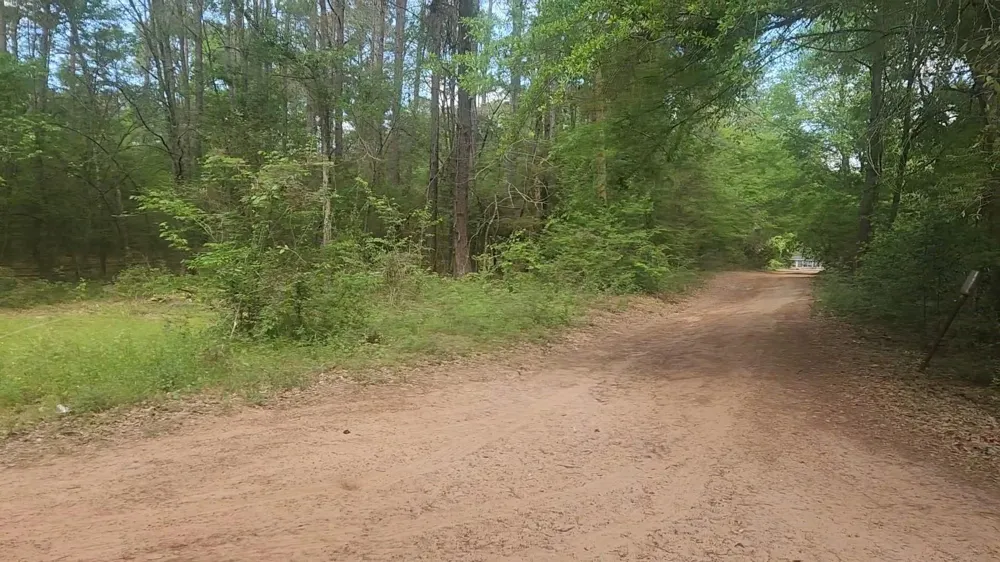 6 Thornwood Drive Plantersville, TX 77363