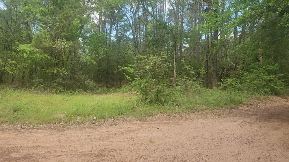 6 Thornwood Drive Plantersville, TX 77363