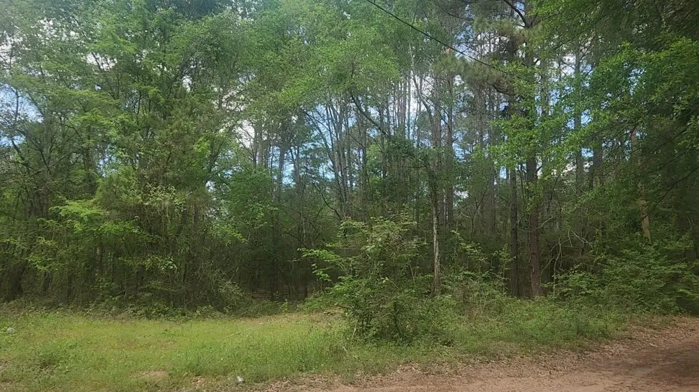 6 Thornwood Drive Plantersville, TX 77363