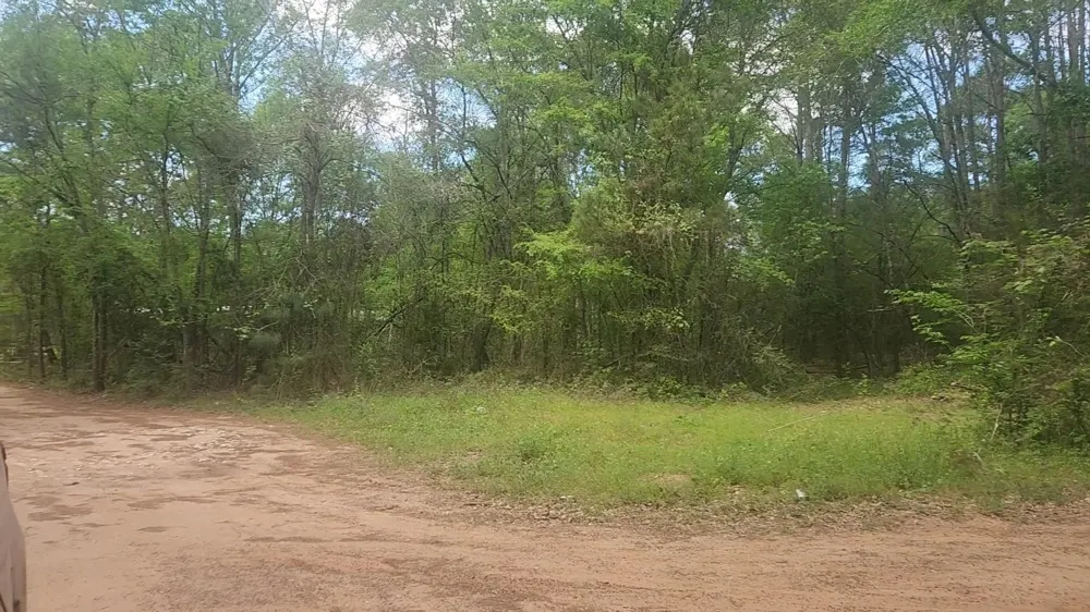 6 Thornwood Drive Plantersville, TX 77363