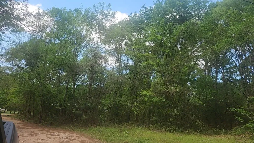 6 Thornwood Drive Plantersville, TX 77363