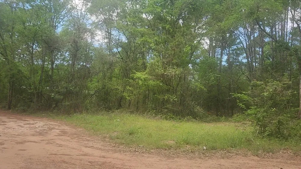 6 Thornwood Drive Plantersville, TX 77363