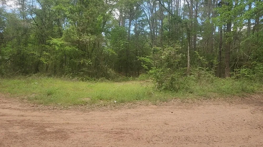 6 Thornwood Drive Plantersville, TX 77363