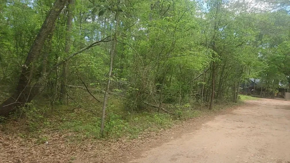 6 Thornwood Drive Plantersville, TX 77363