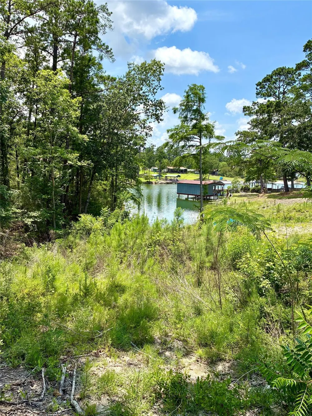 143 Whispering Pine Burkeville, TX 75932