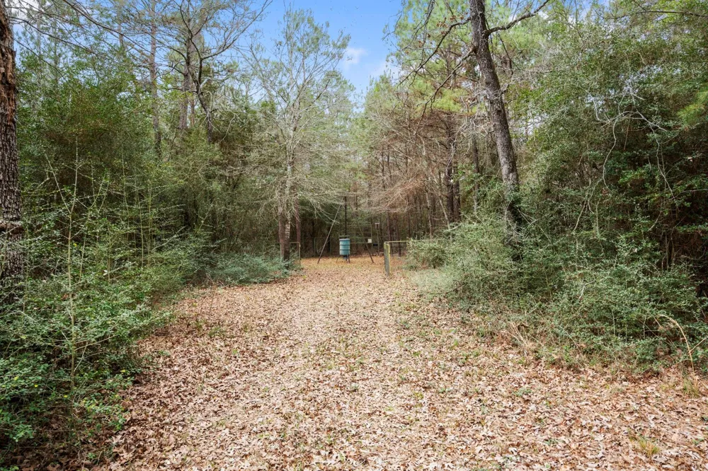 26136 Joseph Road Hockley, TX 77447