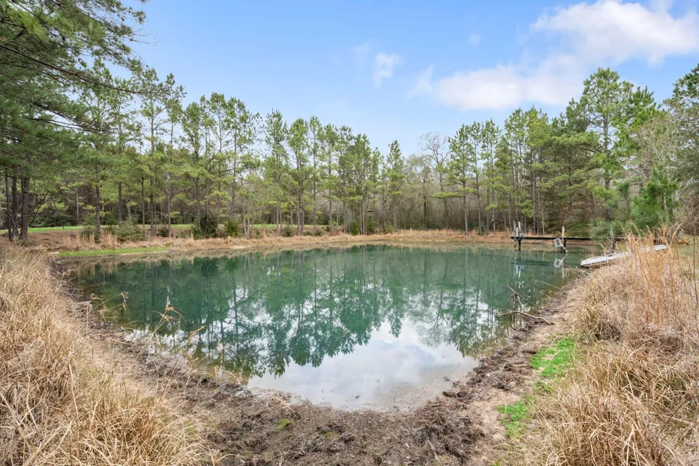 26136 Joseph Road Hockley, TX 77447