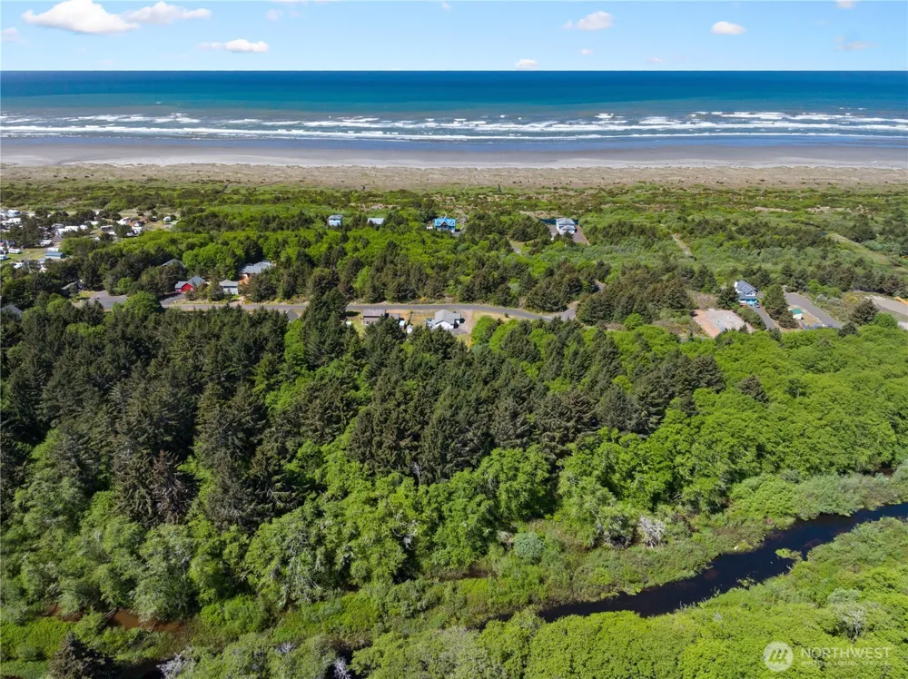 163 Ocean Boulevard Ocean City, WA 98569
