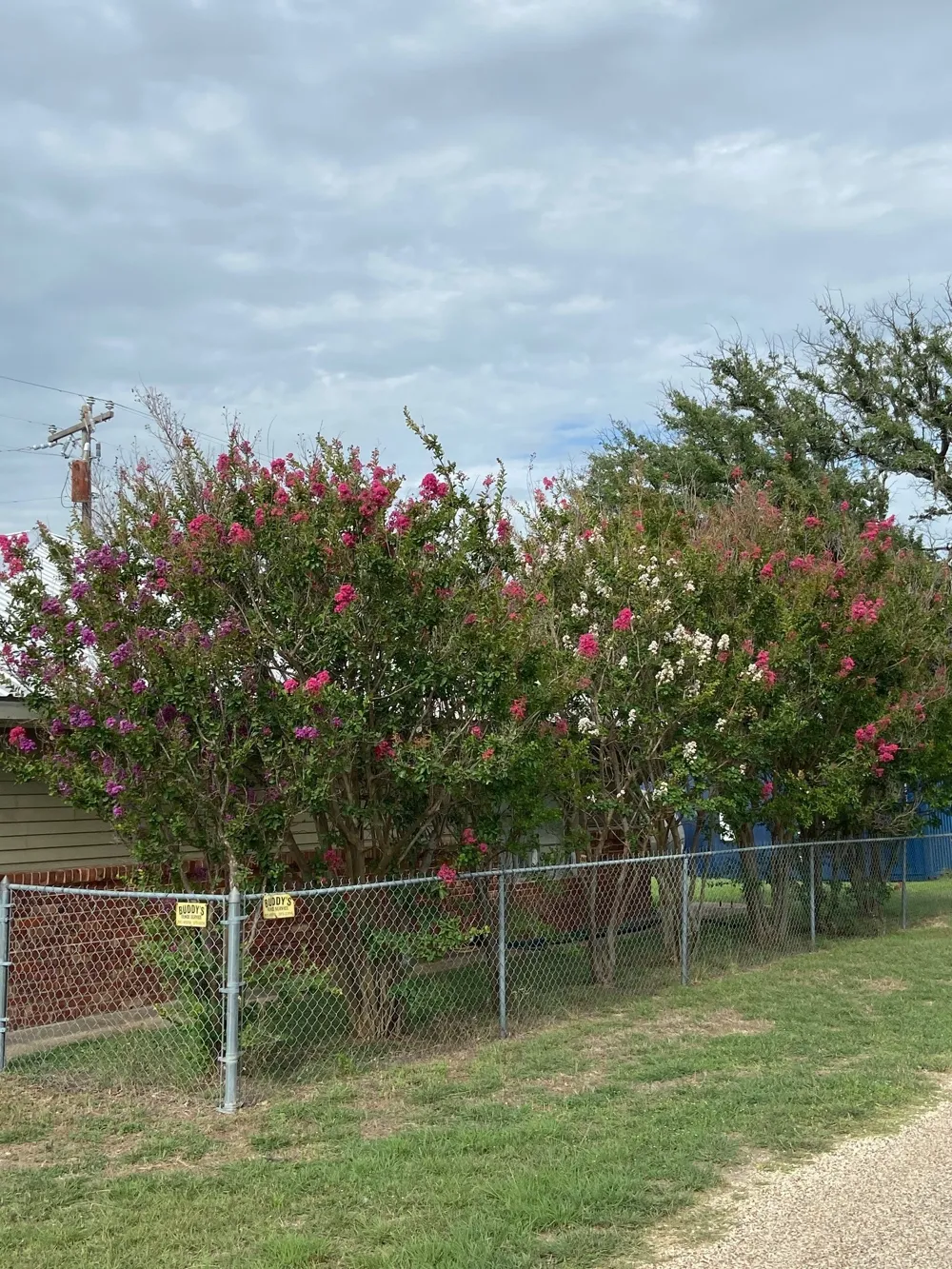 104 County Road 1296 Morgan, TX 76671