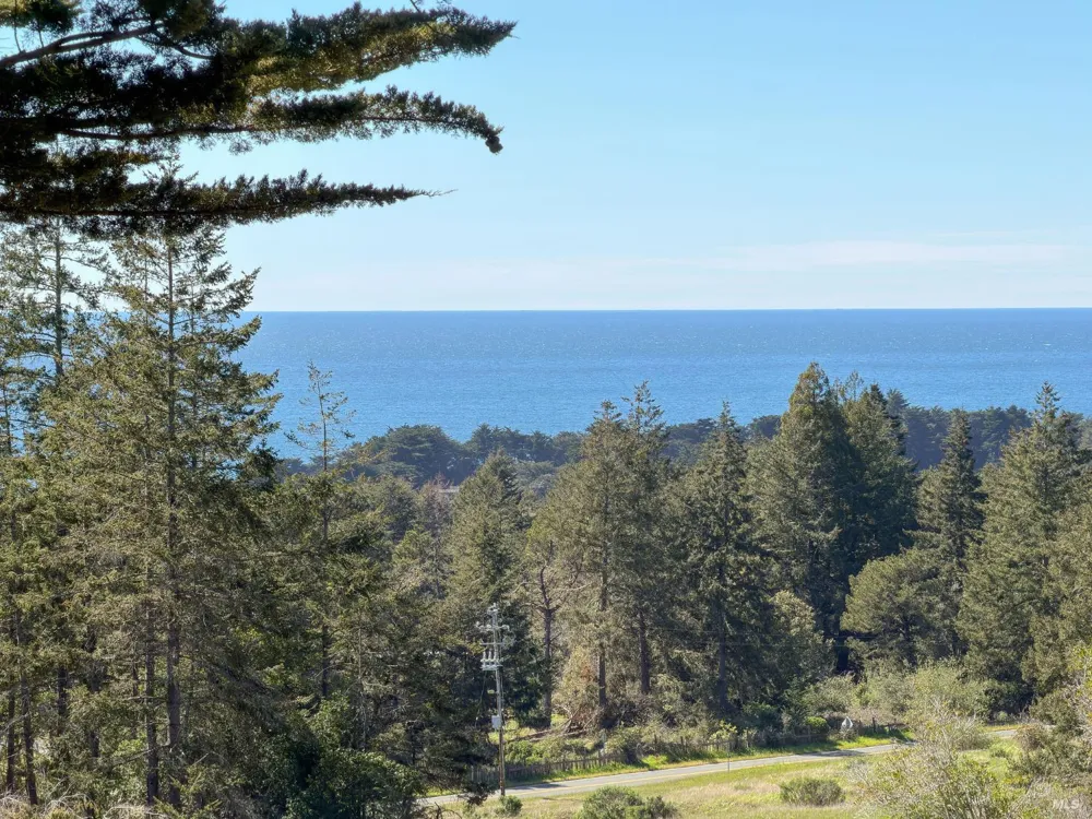 100 Lupine Close The Sea Ranch, CA 95497