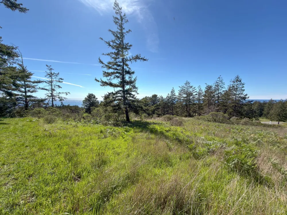 100 Lupine Close The Sea Ranch, CA 95497