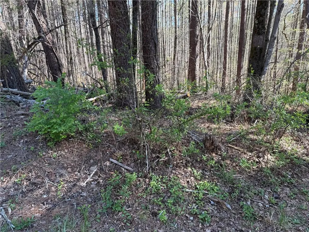 00 Henderson Mountain Road Fairmount, GA 30139