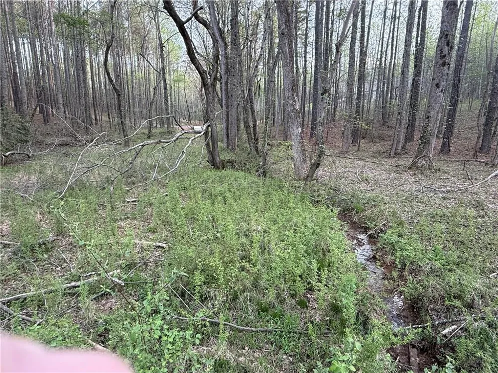 00 Henderson Mountain Road Fairmount, GA 30139